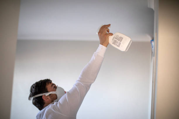 Best Mold Remediation for Specific Building Types in South River, NM